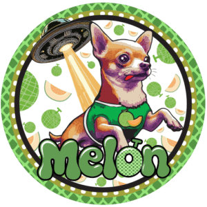 Melon Coin