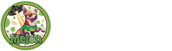 Melon Coin